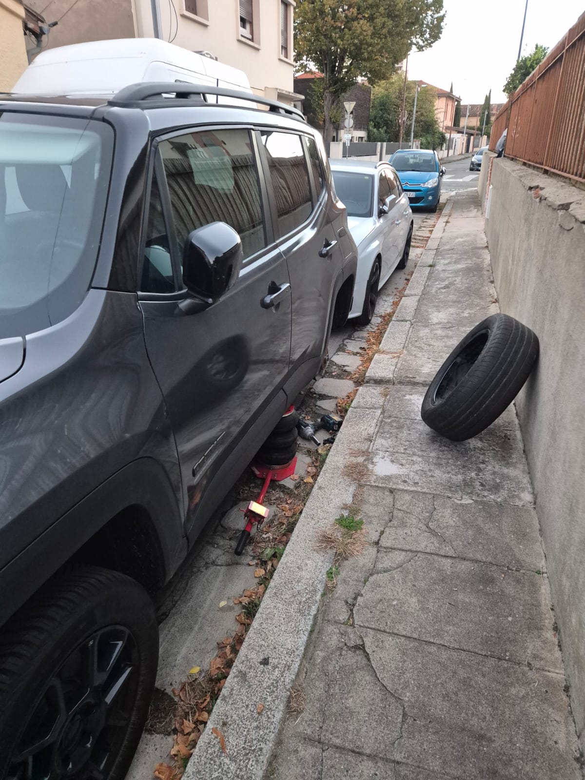 portfolio-06 whatsapp-image-2025-12-11-at-142027